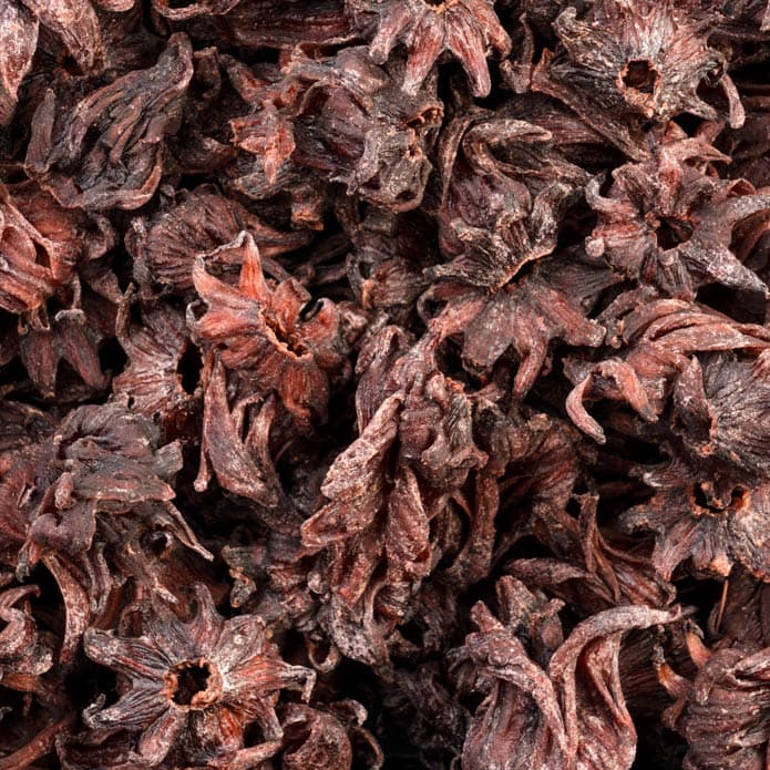 Bzuriyeh Hibiscus